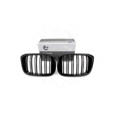 2 Grilles de Radiateur Pour BMW X3 F97, G01, G08 G01 X4 F98, G02 51138091725