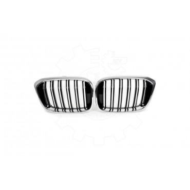 2 Grilles de Radiateur Pour BMW X3 F97, G01, G08 G01 X4 F98, G02 51138091725