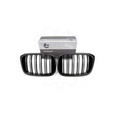 2 Grilles de Radiateur Pour BMW X3 F97, G01, G08 G01 X4 F98, G02 51138091725