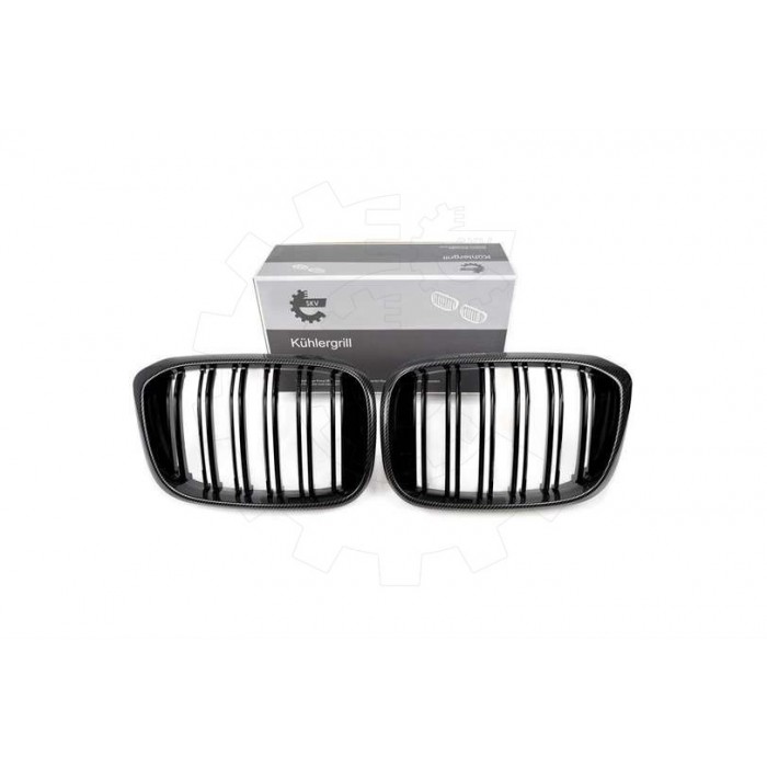 2 Grilles de Radiateur Pour BMW X3 F97, G01, G08 G01 X4 F98, G02 51138091725