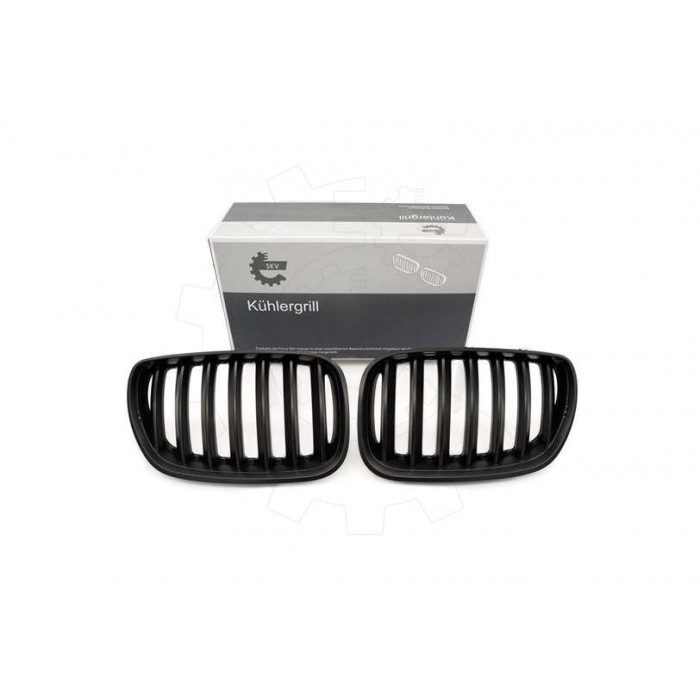 2 Grilles de Radiateur Pour BMW X5 E53 51137124815 51138250051