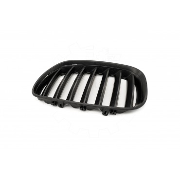 2 Grilles de Radiateur Pour BMW X5 E53 51137124815 51138250051