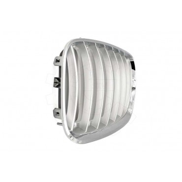 2 Grilles de Radiateur Pour BMW X5 E53 51137124815 51138250051