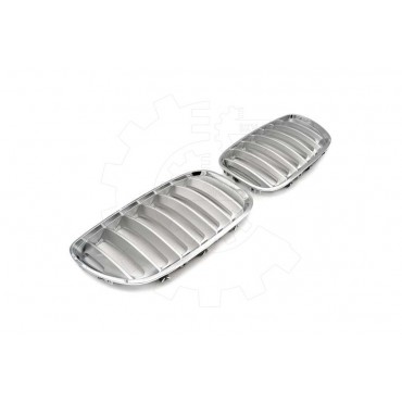2 Grilles de Radiateur Pour BMW X5 E53 51137124815 51138250051