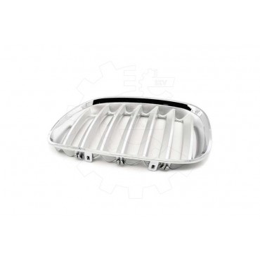 2 Grilles de Radiateur Pour BMW X5 E53 51137124815 51138250051