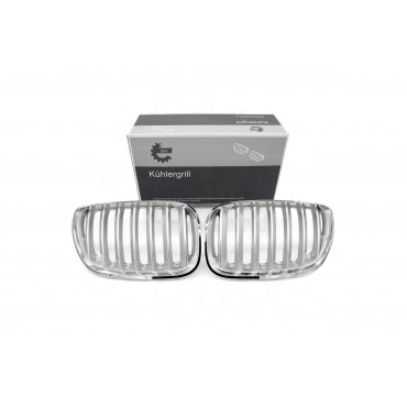 2 Grilles de Radiateur Pour BMW X5 E53 51137124815 51138250051