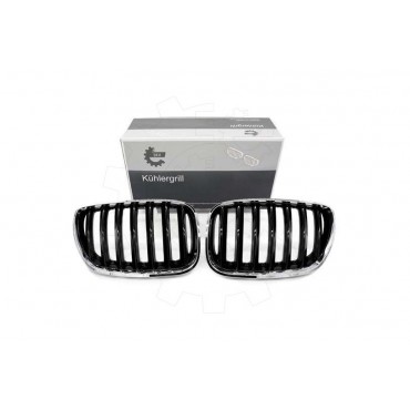 2 Grilles de Radiateur Pour BMW X5 E53 51137124815 51138250051