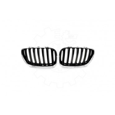 2 Grilles de Radiateur Pour BMW X5 E53 51137124815 51138250051