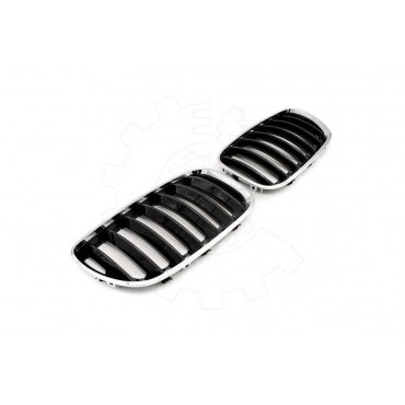 2 Grilles de Radiateur Pour BMW X5 E53 51137124815 51138250051