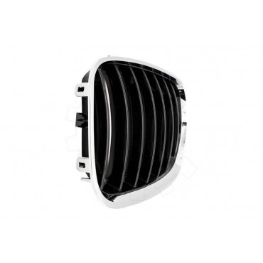 2 Grilles de Radiateur Pour BMW X5 E53 51137124815 51138250051