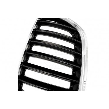 2 Grilles de Radiateur Pour BMW X5 E53 51137124815 51138250051