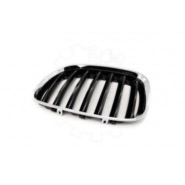 2 Grilles de Radiateur Pour BMW X5 E53 51137124815 51138250051