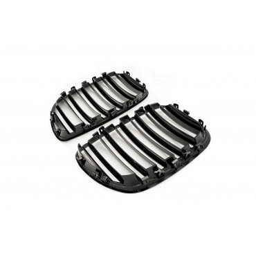 2 Grilles de Radiateur Pour BMW X5 E53 51137124815 51138250051