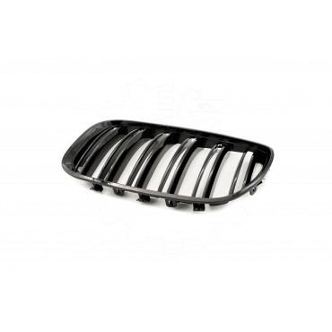 2 Grilles de Radiateur Pour BMW X5 E53 51137124815 51138250051