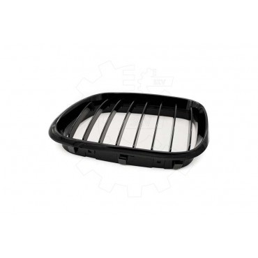 2 Grilles de Radiateur Pour BMW X5 E53 51137113733 51138402645