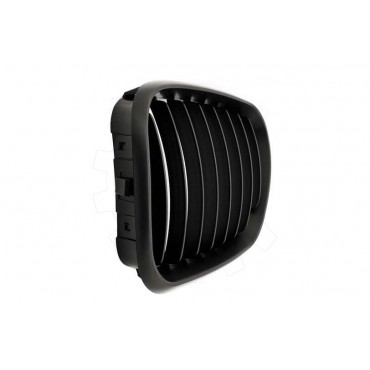 2 Grilles de Radiateur Pour BMW X5 E53 51137113733 51138402645