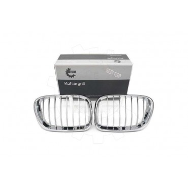 2 Grilles de Radiateur Pour BMW X5 E53 51137113733 51138402645
