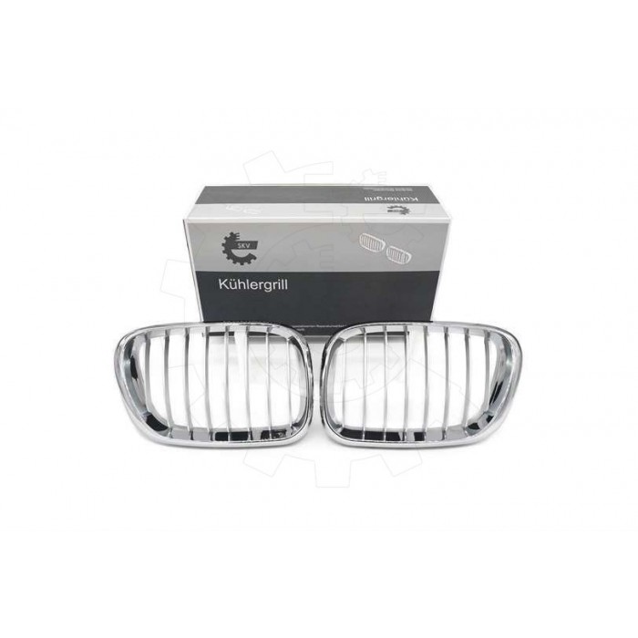 2 Grilles de Radiateur Pour BMW X5 E53 51137113733 51138402645