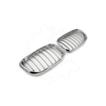 2 Grilles de Radiateur Pour BMW X5 E53 51137113733 51138402645
