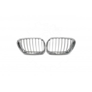 2 Grilles de Radiateur Pour BMW X5 E53 51137113733 51138402645