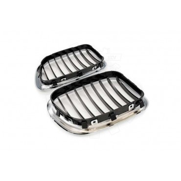 2 Grilles de Radiateur Pour BMW X5 E53 51137113733 51138402645