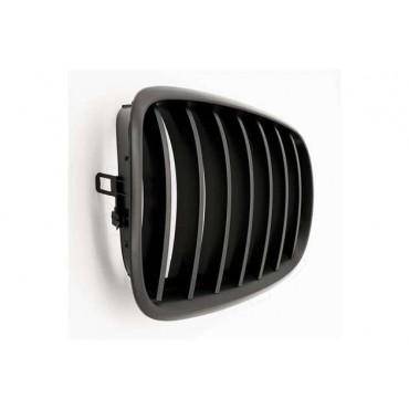 2 Grilles de Radiateur Pour BMW X5 E70 51712150246
