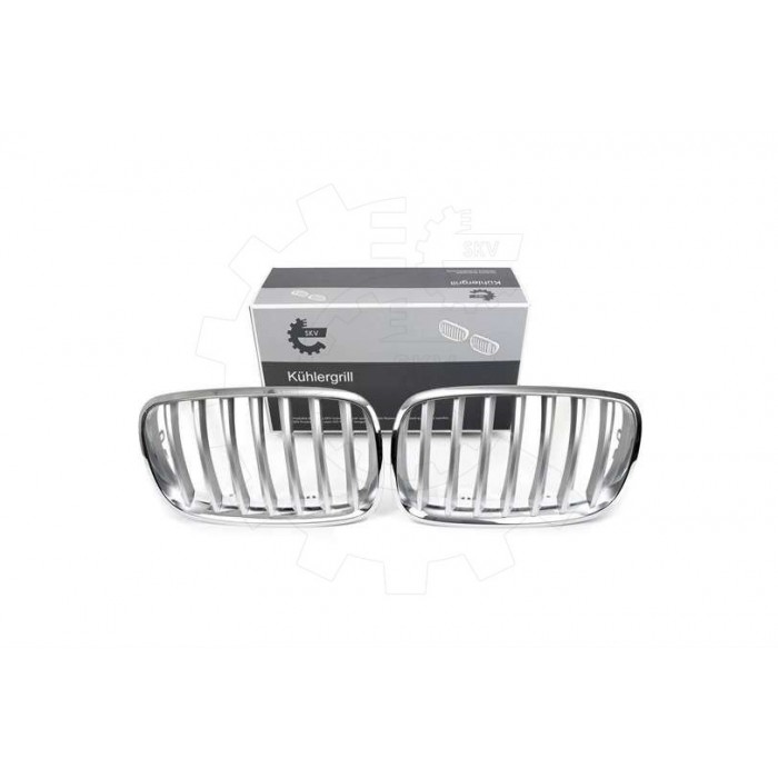 2 Grilles de Radiateur Pour BMW X5 E70 51712150246