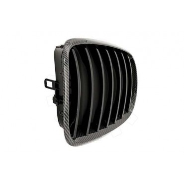 2 Grilles de Radiateur Pour BMW X5 E70 51712150246