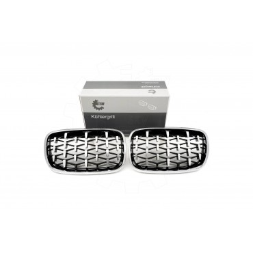 2 Grilles de Radiateur Pour BMW X5 E70 51712150246