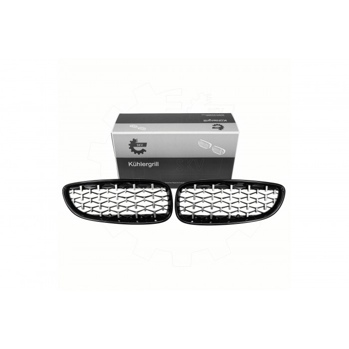 2 Grilles de Radiateur Pour BMW Z4 E89 51137191509