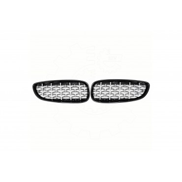 2 Grilles de Radiateur Pour BMW Z4 E89 51137191509