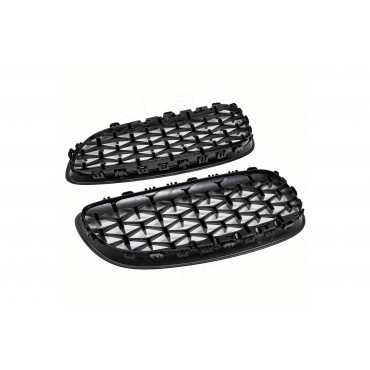 2 Grilles de Radiateur Pour BMW Z4 E89 51137191509