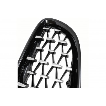 2 Grilles de Radiateur Pour BMW Z4 E89 51137191509