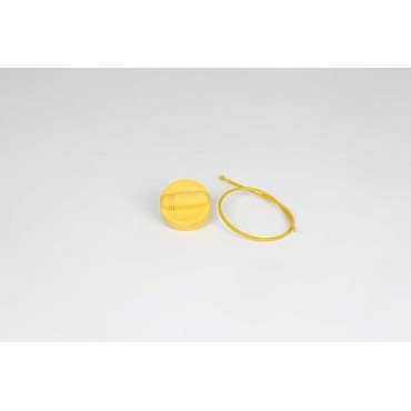 Jauge Niveau d'Huile Moteur Pour Renault Clio III Modus 8200355344