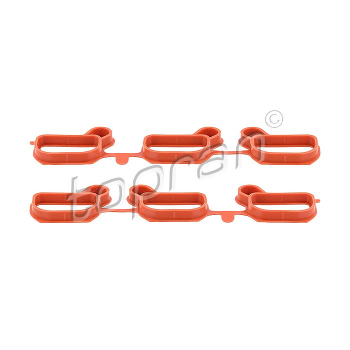 Joints Collecteur d'Admission Pour BMW Série 3 E46 5 E39 E60 E61 11611436631