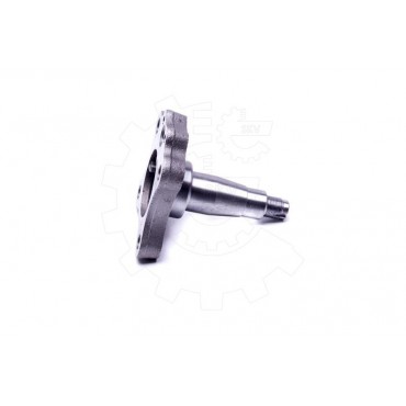 Pivot d'Essieu Arrière Pour Peugeot Fiat Citroën 517607 1306354080 1307756080