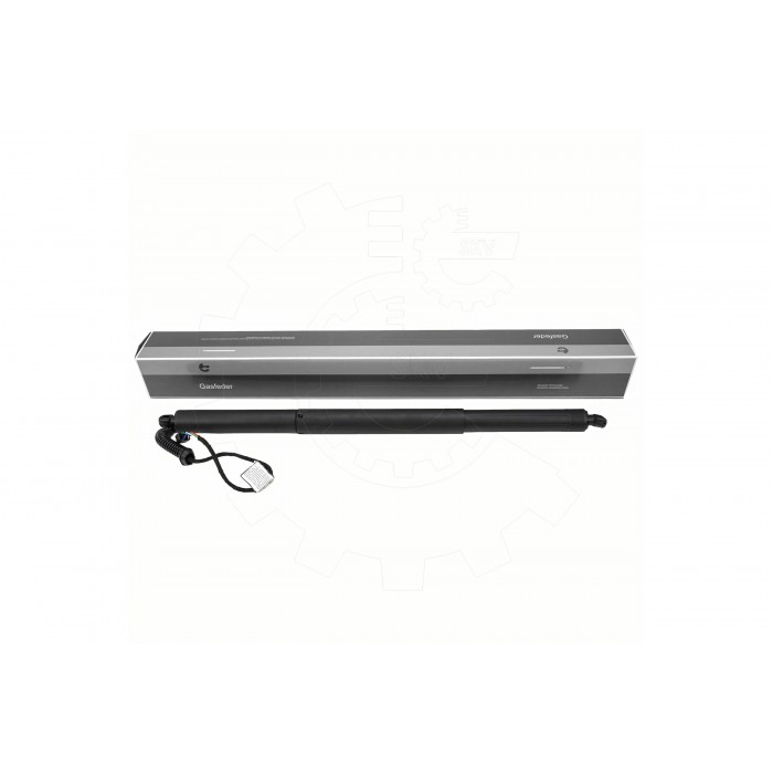 Vérin Hayon de Coffre Pour Audi Q5 80F827851 80F827851A 80F827851B