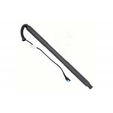 Vérin Hayon de Coffre Arrière Gauche Pour BMW Série 1 F21 51247462539