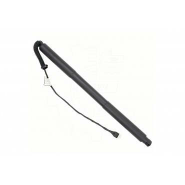 Vérin Hayon de Coffre Arrière Droit Pour BMW Série 1 F21 51247462540