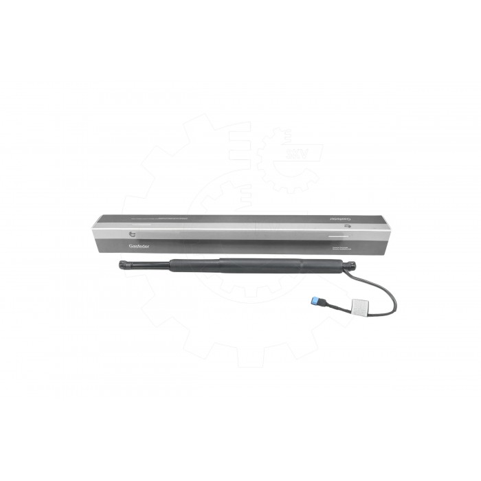 Vérin Hayon de Coffre Pour BMW Série 5 G31 51248494106