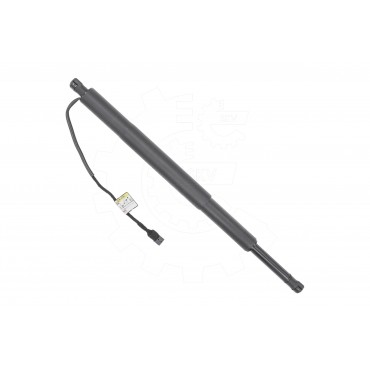 Vérin Hayon de Coffre Pour BMW Série 5 G31 51248494106