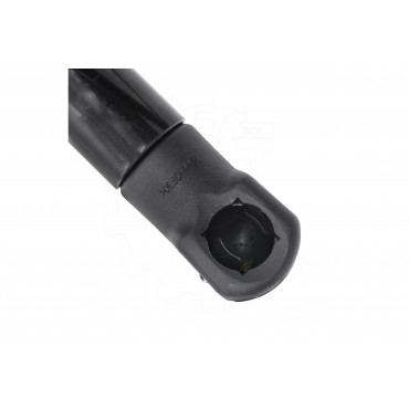 Vérin Hayon de Coffre Arrière Droit Pour BMW Série 6 G32 51247397906