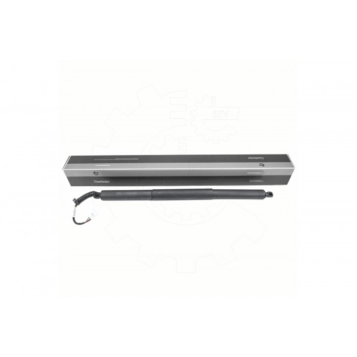 Vérin Hayon de Coffre Pour BMW X1 F48 51242696593 51247350837