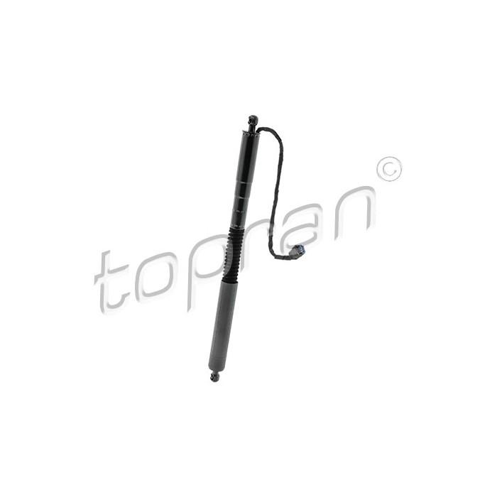 Vérin Hayon de Coffre Arrière Droit Pour BMW X3 F97, G01, G08 51247397322