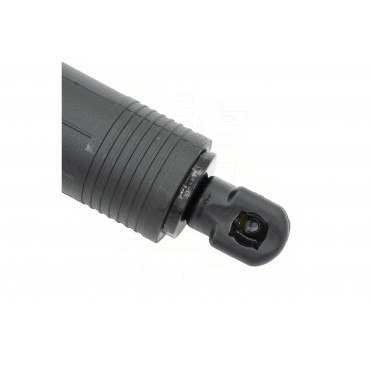 Vérin Hayon de Coffre Pour BMW X5 F95, G05 51247441799 7441799