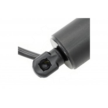 Vérin Hayon de Coffre Pour BMW X5 F95, G05 51247441799 7441799