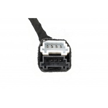 Vérin Hayon de Coffre Pour BMW X5 F95, G05 51247441799 7441799