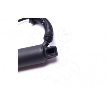 Vérin Hayon de Coffre Arrière Droit Pour BMW X6 F16, F86 51247434044