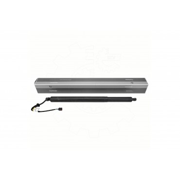 Vérin Hayon de Coffre Arrière Droit Pour Hyundai Santa Fé IV 81841S1100