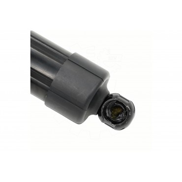 Vérin Hayon de Coffre Pour Infiniti QX60